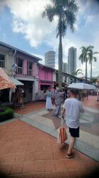 Kampong Glam Conservation Area (D7), Shop House #458160851